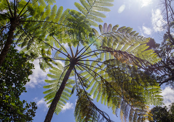 Similar image 8346534