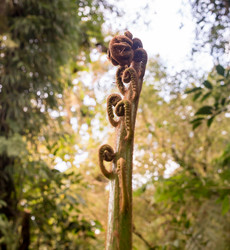 Similar image 8346537