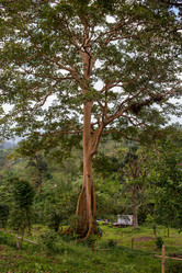 Similar image 8346538