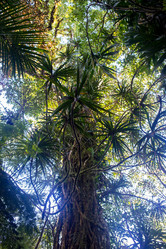 Similar image 8346539