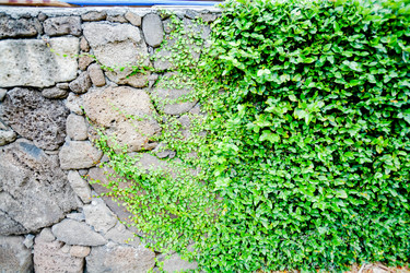 Similar image 8346548