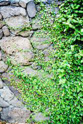 Similar image 8346549