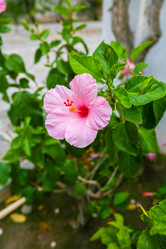 Similar image 8346551