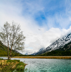 Similar image 8346553