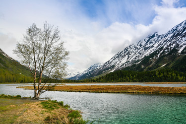 Similar image 8346554