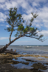 Similar image 8346564