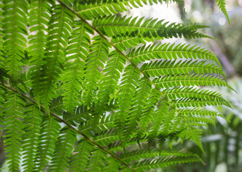 Similar image 8346566