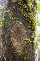 Similar image 8346586