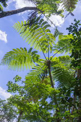 Similar image 8346587