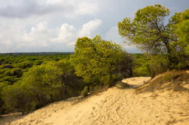 Similar image 8346686