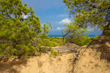 Similar image 8346706