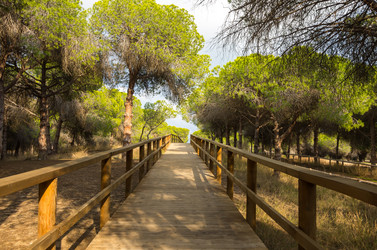 Similar image 8346713