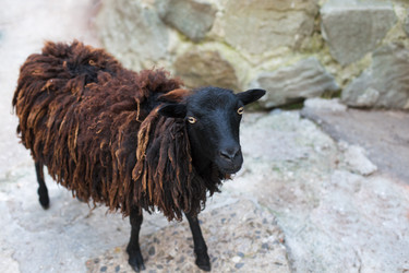 Similar image 8347069