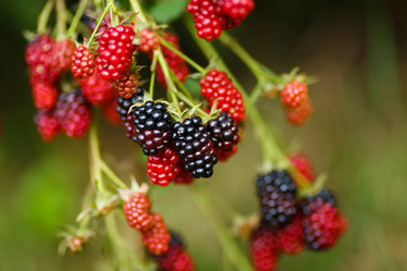 Similar image 8347071