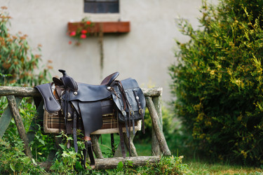 Similar image 8347074