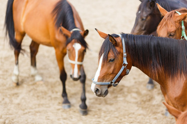 Similar image 8347077