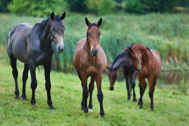 Similar image 8347078