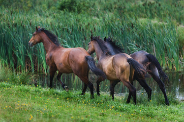 Similar image 8347079