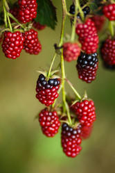 Similar image 8347080