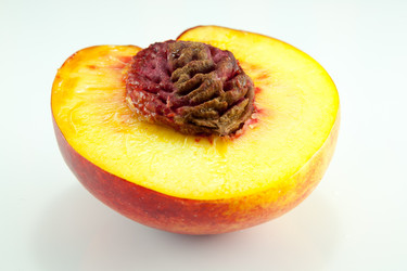 Similar image 8347087