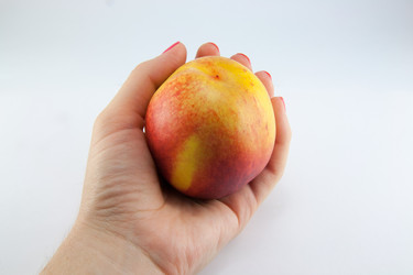 Similar image 8347101