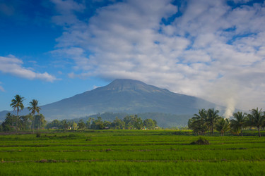 Similar image 8347199