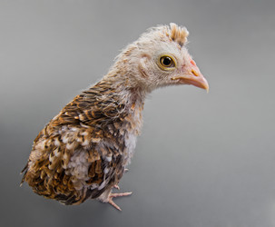 Similar image 8347215