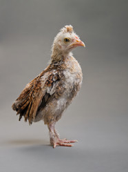 Similar image 8347217