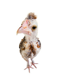 Similar image 8347220