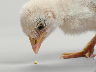 Similar image 8347250