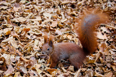 Similar image 8347353