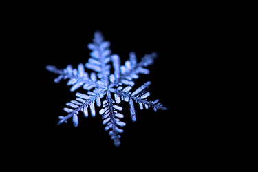 Similar image 8347355