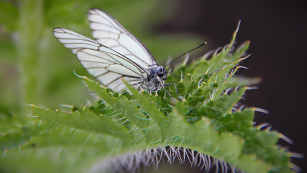 Similar image 8347398