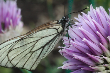 Similar image 8347399