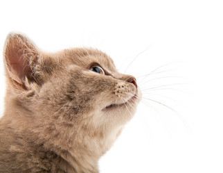 Similar image 8347826