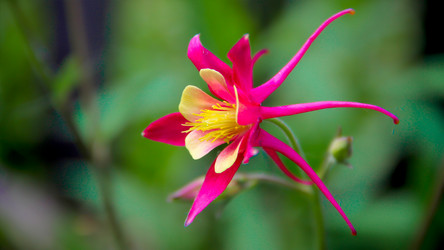 Similar image 8347924