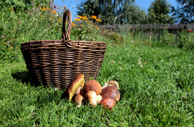 Similar image 8348228