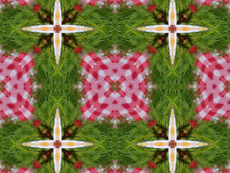 Similar image 8348324