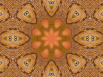 Similar image 8348375