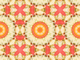 Similar image 8348404