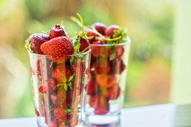 Similar image 8348529