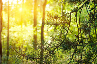 Similar image 8348575