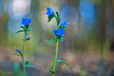 Similar image 8348629