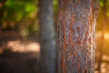 Similar image 8348837