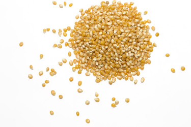 Similar image 8348953