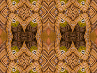 Similar image 8349155