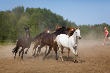 Similar image 8349166