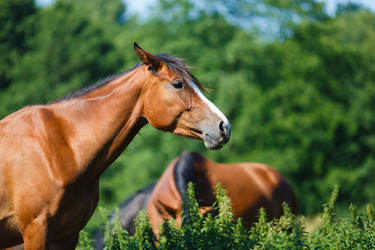 Similar image 8349177