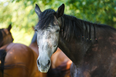 Similar image 8349183