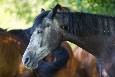 Similar image 8349184